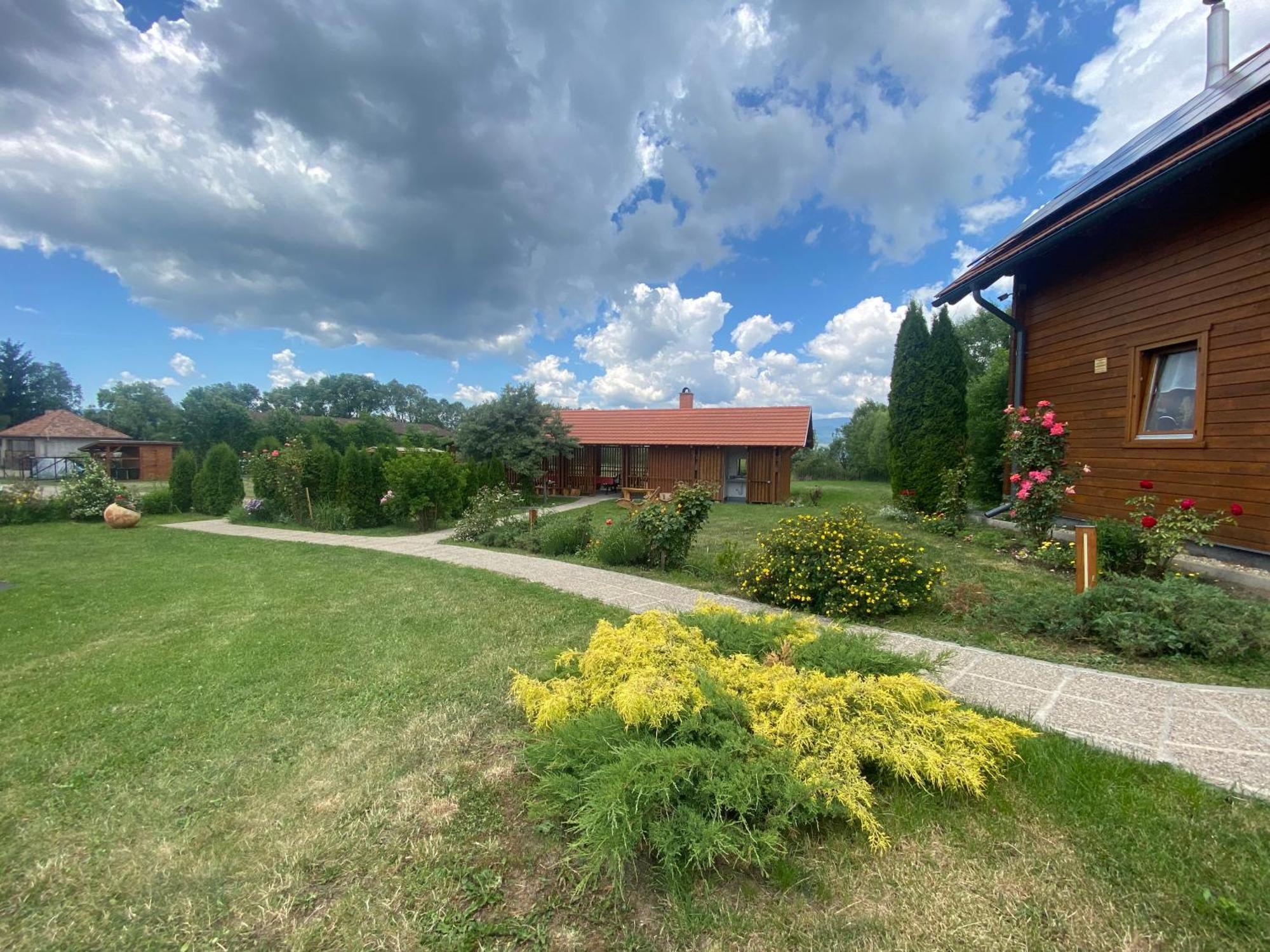 Nimfa Apartments Păuleni-Ciuc Exteriér fotografie