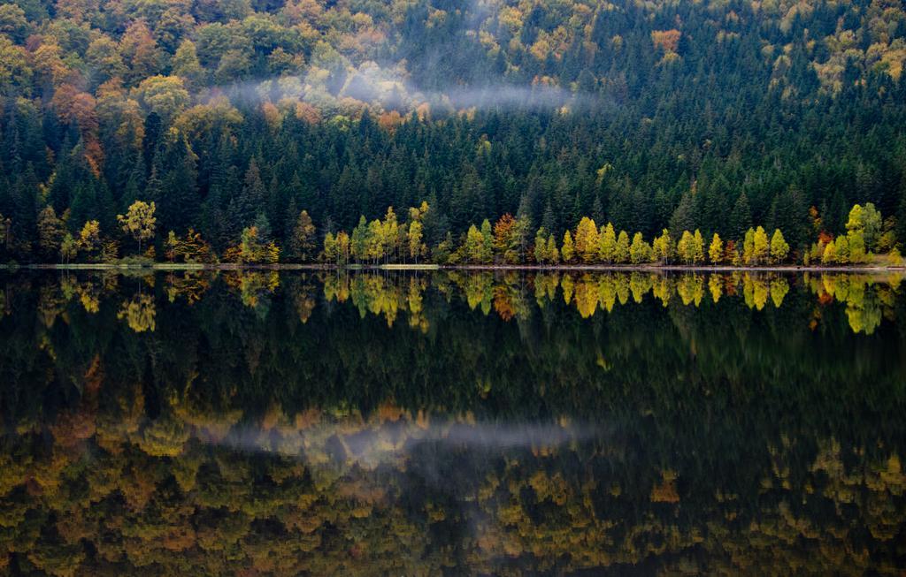 Nimfa Apartments Păuleni-Ciuc Pokoj fotografie