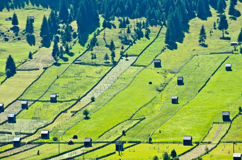 Nimfa Apartments Păuleni-Ciuc Pokoj fotografie